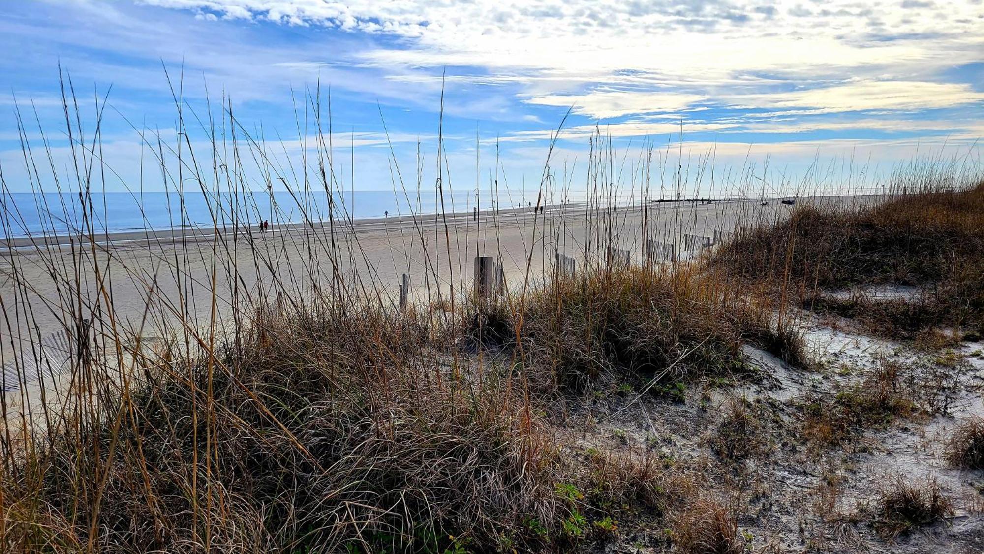 Sandpiper 103 By Tybee Beach Vacation Rentals تيبي أيلاند المظهر الخارجي الصورة